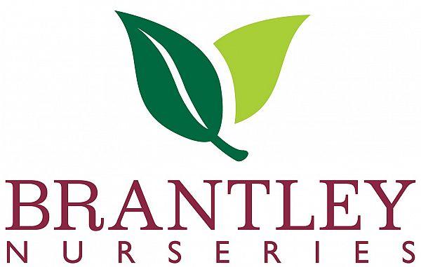 Brantley Nurseries Availability List 16515 Davenport Rd Winter Garden, Florida 34787 E-mail: miked@brantleynurseries.