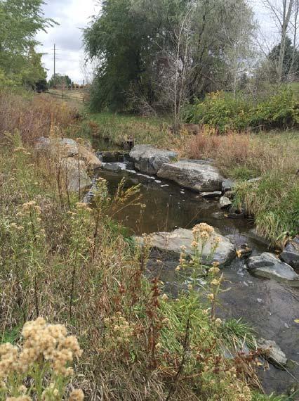Wildcat Gulch Streambed Restoration Addresses eroding of the current channel Minimize sediment