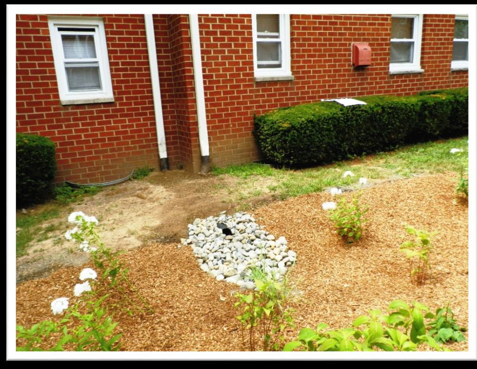 Ten rain gardens were installed to capture roof runoff, disconnecting 12 downspouts.