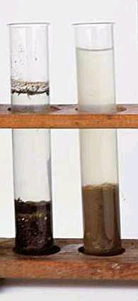Soil air contains the same gases as the atmosphere but in different proportions.