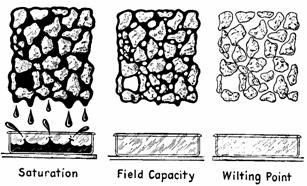 Pore space roughly 50% of the soil s volume is space. This space is filled with varying proportions of soil water and soil air. Both are necessary for optimal soil.