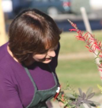 Jan will share her knowledge in growing, maintaining and incorporating herbs into your landscape. She will also share a few recipes using herbs and the best ways to preserve them.
