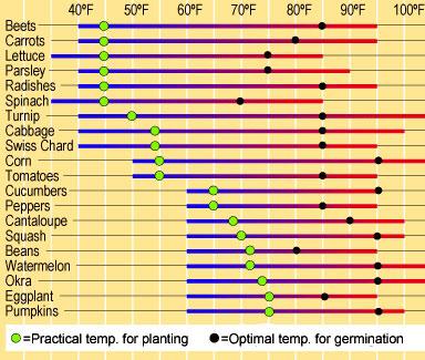 When is it Time to Transplant Outdoors? After the last Spring frost As soon as the soil reaches an acceptable temperature. Chart by Dr.