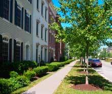 Design standards for street trees within public rights-of-way should be obtained from the governing agency and shall supercede these requirements and standards for private streets; however, all