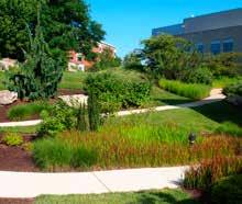 To ensure Green Area, Common Open Space, streets and drive aisles, and the spaces around and between buildings are attractively landscaped to fulfill green infrastructure, species diversity, and Tree