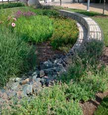 Preserve and/or restore historically appropriate landscape plants and features. g. Erosion Control Plants may be used to control soil erosion caused by wind or stormwater runoff. h. Wildlife Habitat Plants may be used to provide cover and food for birds and other wild animals.