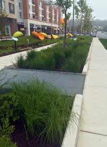 PRINCE GEORGE S COUNTY LANDSCAPE MANUAL section 3: landscape elements and design criteria All other areas of the County are generally identified as established communities, future water and sewer