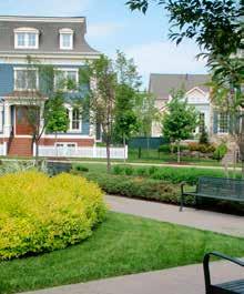 PRINCE GEORGE S COUNTY LANDSCAPE MANUAL section 3: landscape elements and design criteria Many factors must be weighed in the decision to preserve trees and vegetation, including existing and