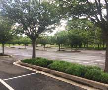 PRINCE GEORGE S COUNTY LANDSCAPE MANUAL section 4: landscape standards 2. Parking Lot Interior Planting Requirements A.