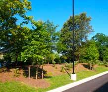 PRINCE GEORGE S COUNTY LANDSCAPE MANUAL section 4: landscape standards 4.4 Screening Requirements a. Purposes and Objectives 1.