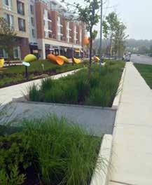 Stormwater management facilities should be designed as an integral part of the overall landscape design approach.