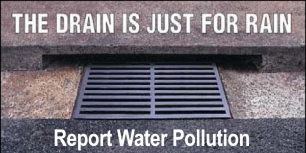 STORMWATER Storm drains are connected to water ways. Anything that goes down them will ultimately end up in the ocean and can harm aquatic plants and animals.
