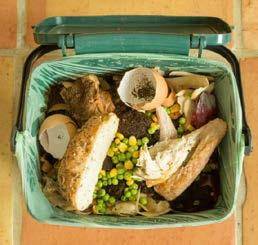 SOLID WASTE Food waste and other solids can clog sinks and cause sewage spills in your facility or in the street.