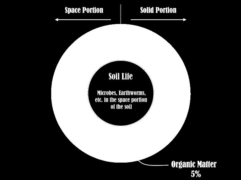 A well-structured soil is made up of aggregates of varying sizes that allow maximum space for air and water (ideally about 20 to 25% for each by volume).