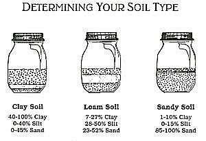 Slide 19 Scientific way to determine soil type 19 Soil labs will take a measured amount of soil, and use water to break up the 3 minerals, then compare the relative amounts to calculate actual