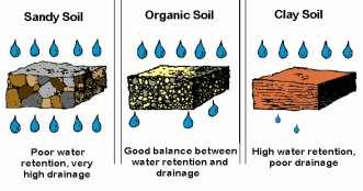 Slide 30 How can we improve poor soil structure? Coarse Medium Fine 30 How can we improve poor soil structure?