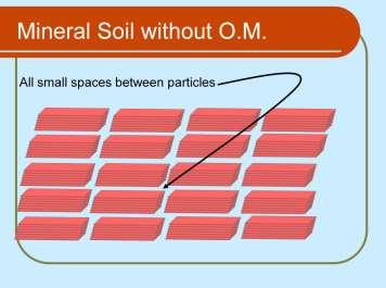 Slide 34 34 Finely textured mineral soil (clay) without Organic Matter: small