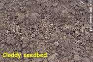 Slide 38 Why NOT Add Sand? Can t mix well enough Hundreds of years of soil moving through earthworms. Use Cuisinart to mix Every Cubic Inch! 38 Why not add sand? Can t mix well enough. Get clods covered with sand.
