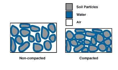 Compacted soil has very little in the way of pore spaces, so there is little air available to the