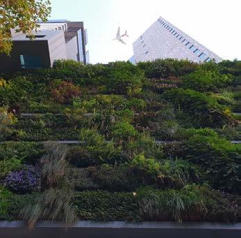 installed green walls are both successful and sustainable.