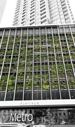 GREEN FACADES Suitable for Indoor & Outdoor Applications Green façades differ from vertical gardens by using climbing vines & creepers, planted in a lightweight and automated planter systems with