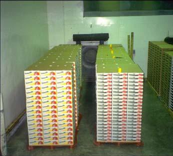 6/5/ Pallets of tight fill plums in corrugated boxes Vents Box spacing Stacking ongest cooling time (hr) none none cross 8 %