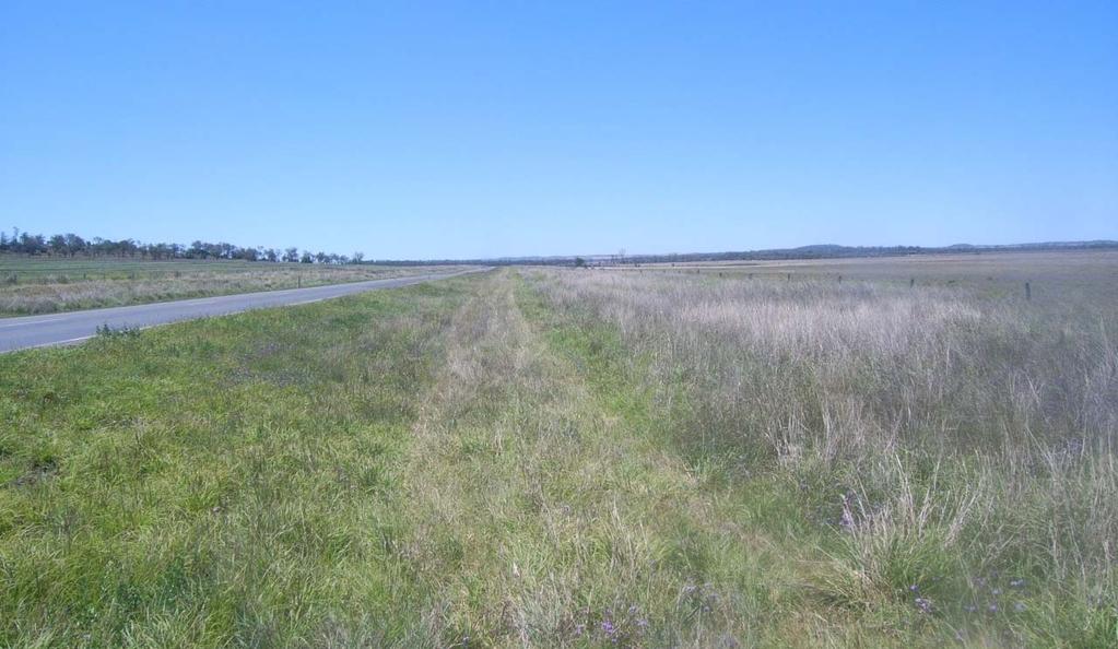 Photo 15-9 On Jondaryan-Muldu Road looking north towards the Project site Approximate location of private haul road Description The above photograph was taken within the Jondaryan-Muldu Road reserve