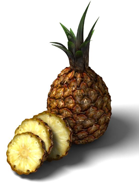 PINEAPPLE ROYAL Equipment Needed: Cut an inch or two from a pineapple using the top leafy portion. Set this leafy portion, cut side down, in a large shallow dish. Keep water in the dish at all times.