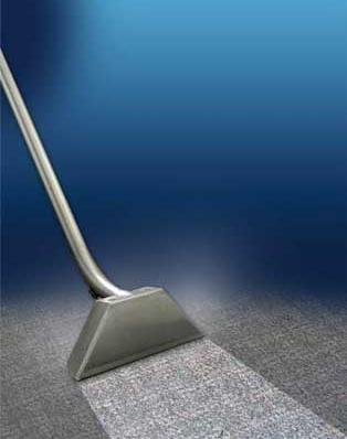 5 Cleaning Carpet Carpets require vacuuming daily and a full clean every six months or immediately after a spillage. If organic soiling is present additional lowlevel disinfection will be required.