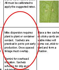 Observe for to allow dispersal moving mites with throughout crop. magnification. A. Swirskiline as swirskii is white to 25,000 SB0015-03 25-100 mites/10 ft 2 Consider mechanical tan.