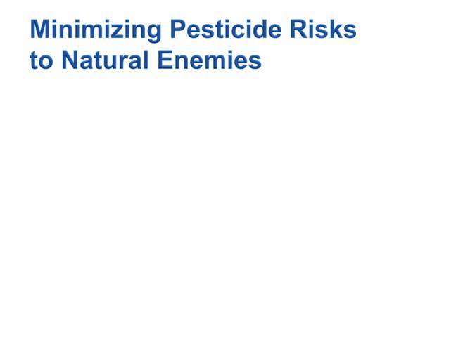 CHEMICAL NAME PESTICIDE NAME Determine list of compatible pesticides based on your BCA list. Records available for incoming plant material?