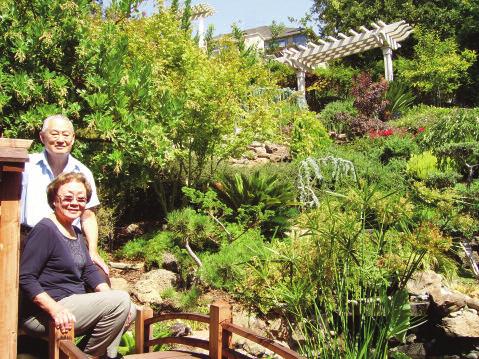Meet Our Members...Charles & Luisa Lim Marvelous! The backyard Koi and water garden created by Charles & Louisa Lim is exceptional.