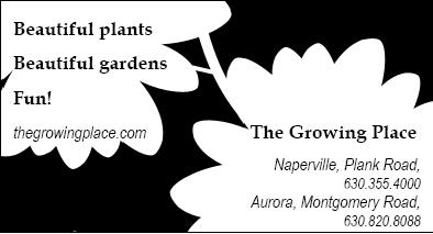 Club Events - 2009 Date Speaker Topic/Event July 23 August 27 Announcement of Garden Contest Winners Susan Grupp President s Dinner Kermit was Wrong: It s Easy Being Green WCGC Board News Board