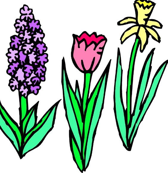 A synonym is perennialize. Some of the species tulips are good neutralizer s, as are some crocus and many daffodils, (and many other bulbs).