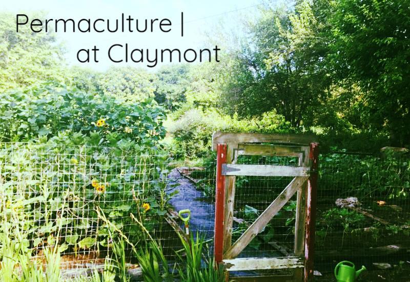 Permaculture @ Claymont Newsletter March 2018 IN THIS ISSUE: Introduction to permaculture at Claymont, a recap of what's happened already, and what's coming up!