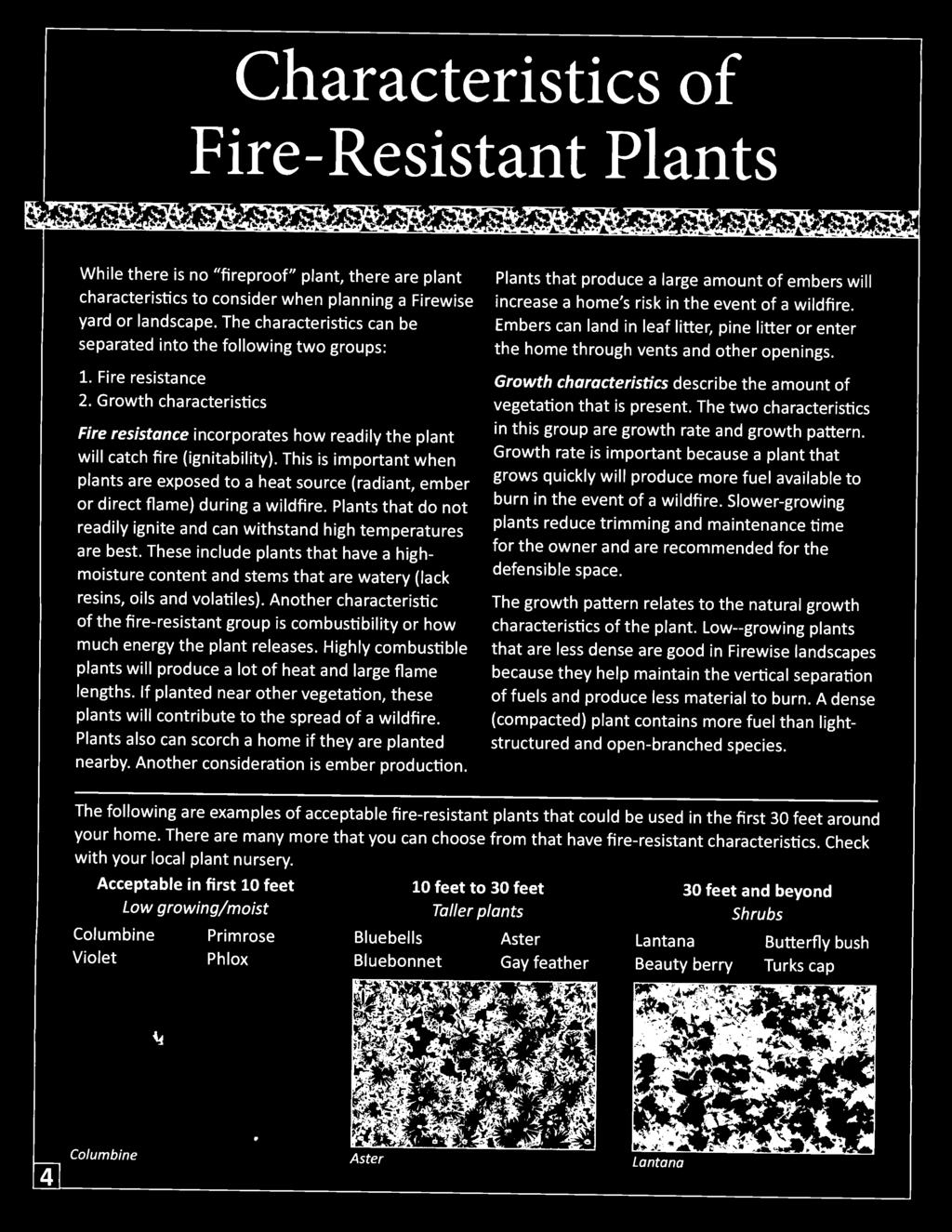 This is important when plants are exposed to a heat source (radiant, ember or direct flame) during a wildfire. Plants that do not readily ignite and can withstand high temperatures are best.
