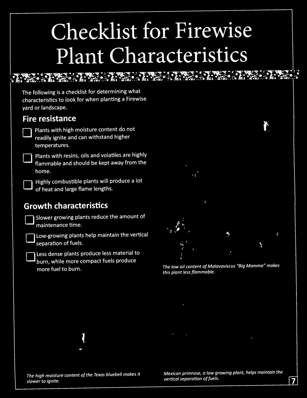 Growth characteristics Slo~er growin~ plants reduce the amount of maintenance time. Low-growing plants help maintain the vertical separation of fuels.