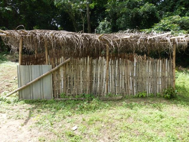 The nursery is fenced with bamboo and covered with palm thatch to shade the seedlings. This nursery has about 600 seedlings.. (Photo by Marvelous Queejay-Weah ACDI/VOCA) H.