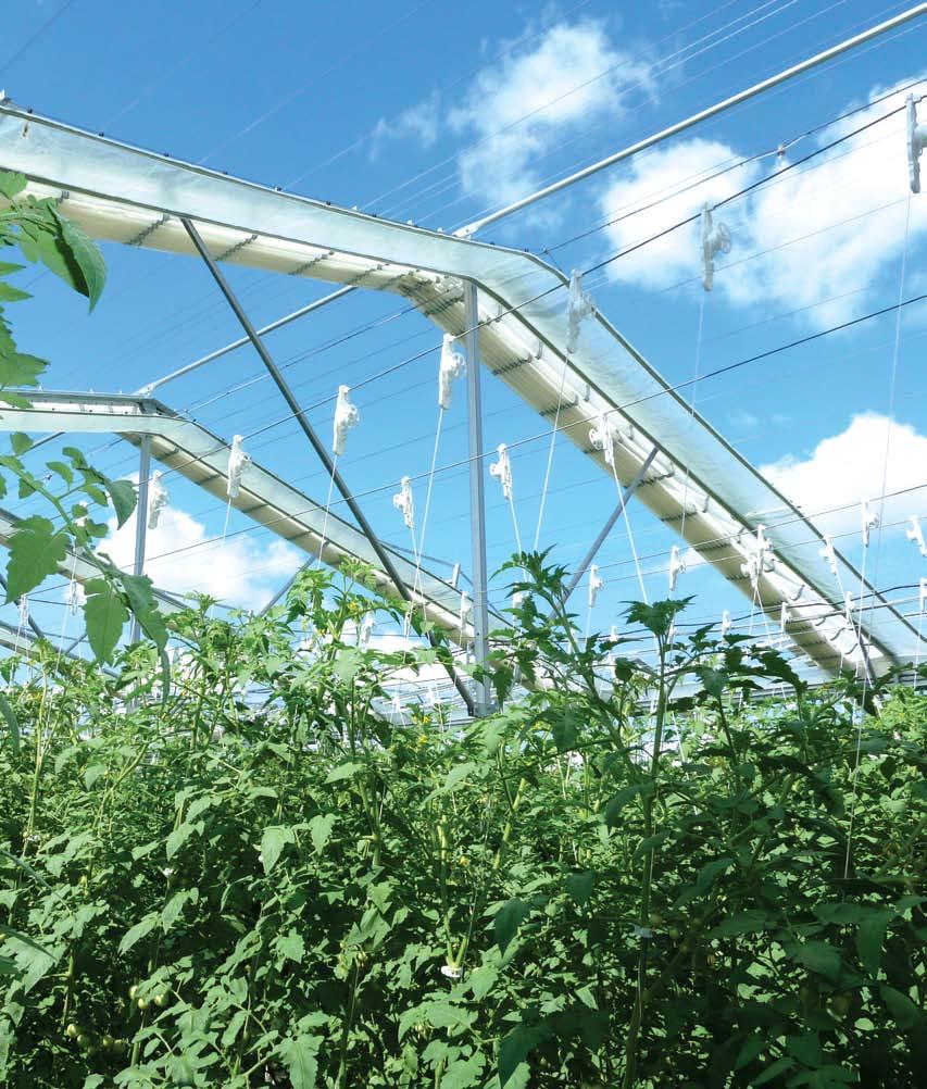 There are at least 36 ways that Cravo Retractable roof greenhouses and the Retractable Roof Production System (RRPS) TM can positively impact on your balance sheet and almost every line on your