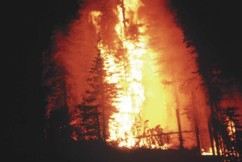 In August 2007, the wild fires in the northern and eastern provinces of South Africa were estimated by Forestry South Africa to have cost the country over R3.