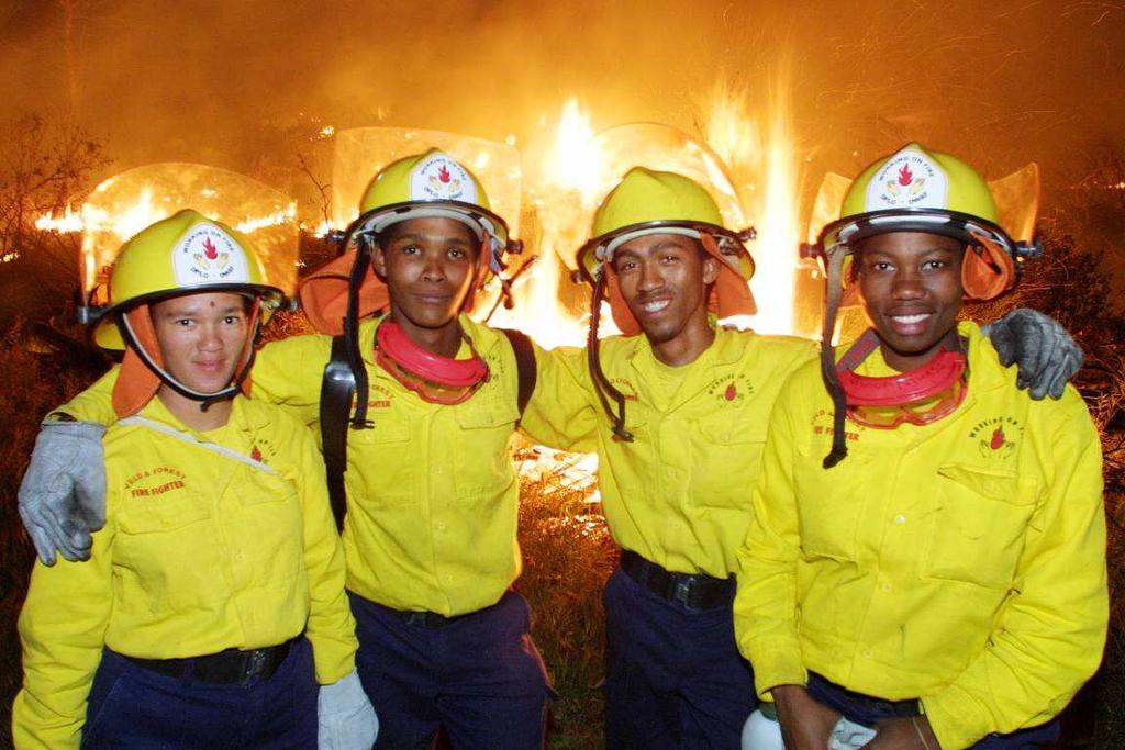 What is the Working on Fire Programme Multi-departmental, multi
