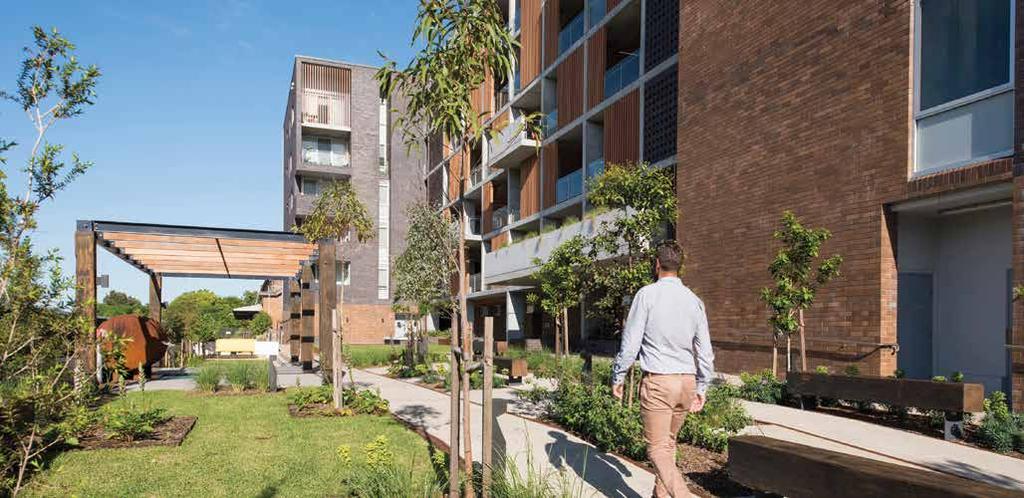 Arcadia aim to create memorable places that inspire community and diversity through innovative use of nature, design, sustainability and technology.