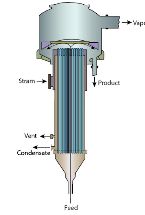 Natural Circulation Evaporator