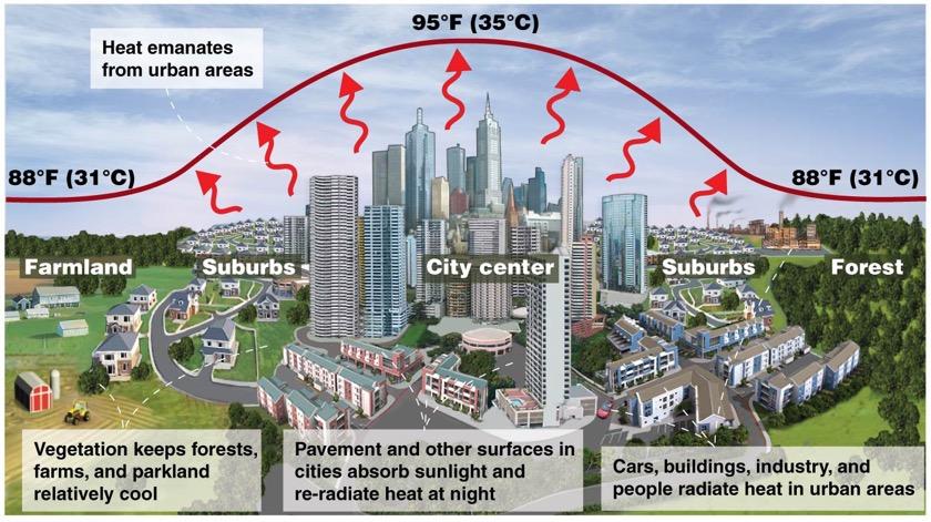 Cities are polluted but innovative Urban heat island effect Cities are hotter than surrounding areas Cities promote a flourishing cultural life Spark
