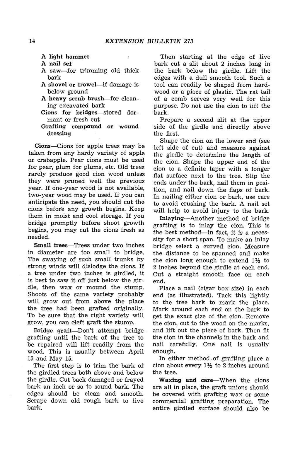 14 EXTENSION BULLETIN 273 A light hammer A nail set A saw-for trimming old thick bark A shovel or trowel-if damage is below ground A heavy scrub brush-for cleaning excavated bark Cions for