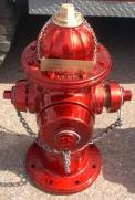 access to Fire Hydrants and other water supply connections shall be enforced. Vendors shall be required to maintain the same clearance as required for vehicles.