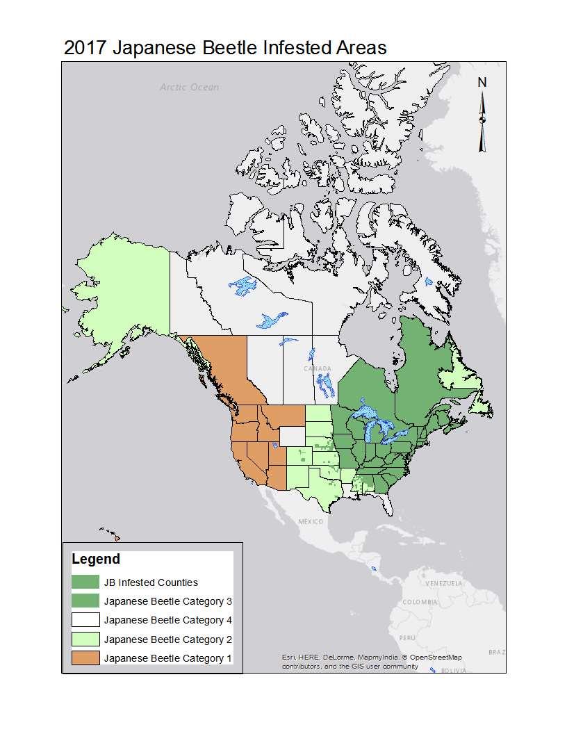 REGULATORY STATUS IN NORTH AMERICA D-96-15 Phytosanitary Requirements to Prevent the Spread of Japanese Beetle, Popillia japonica in Canada and the United States.