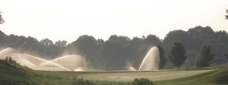 morning: prevent diseases and minimize evaporation Wet soil to 4-6