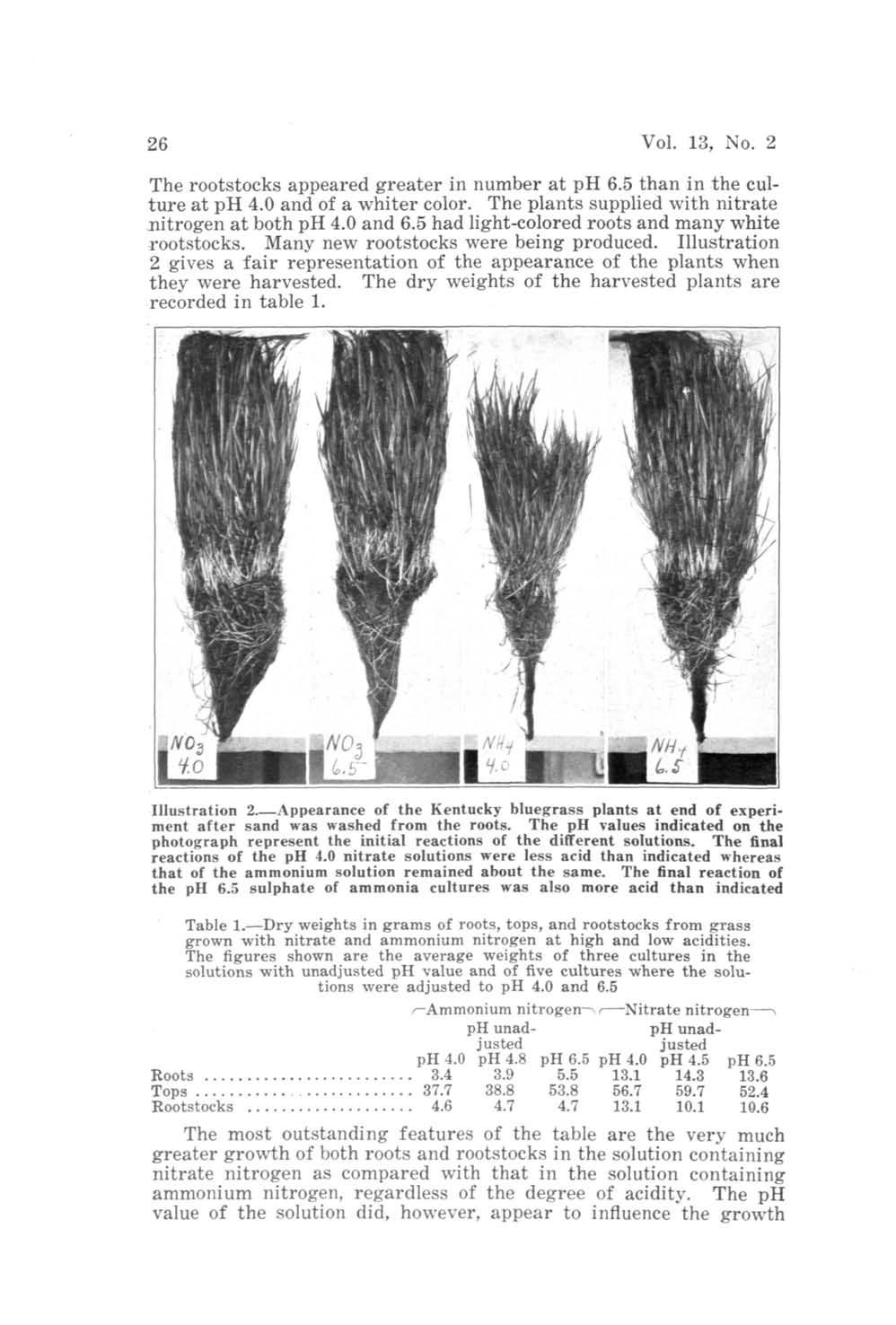 26 Vol. 13, No. 2 The rootstocks appeared greater in number at ph 6.5 than in the culture at ph 4.0 and of a whiter color. The plants supplied with nitrate nitrogen at both ph 4.0 and 6.
