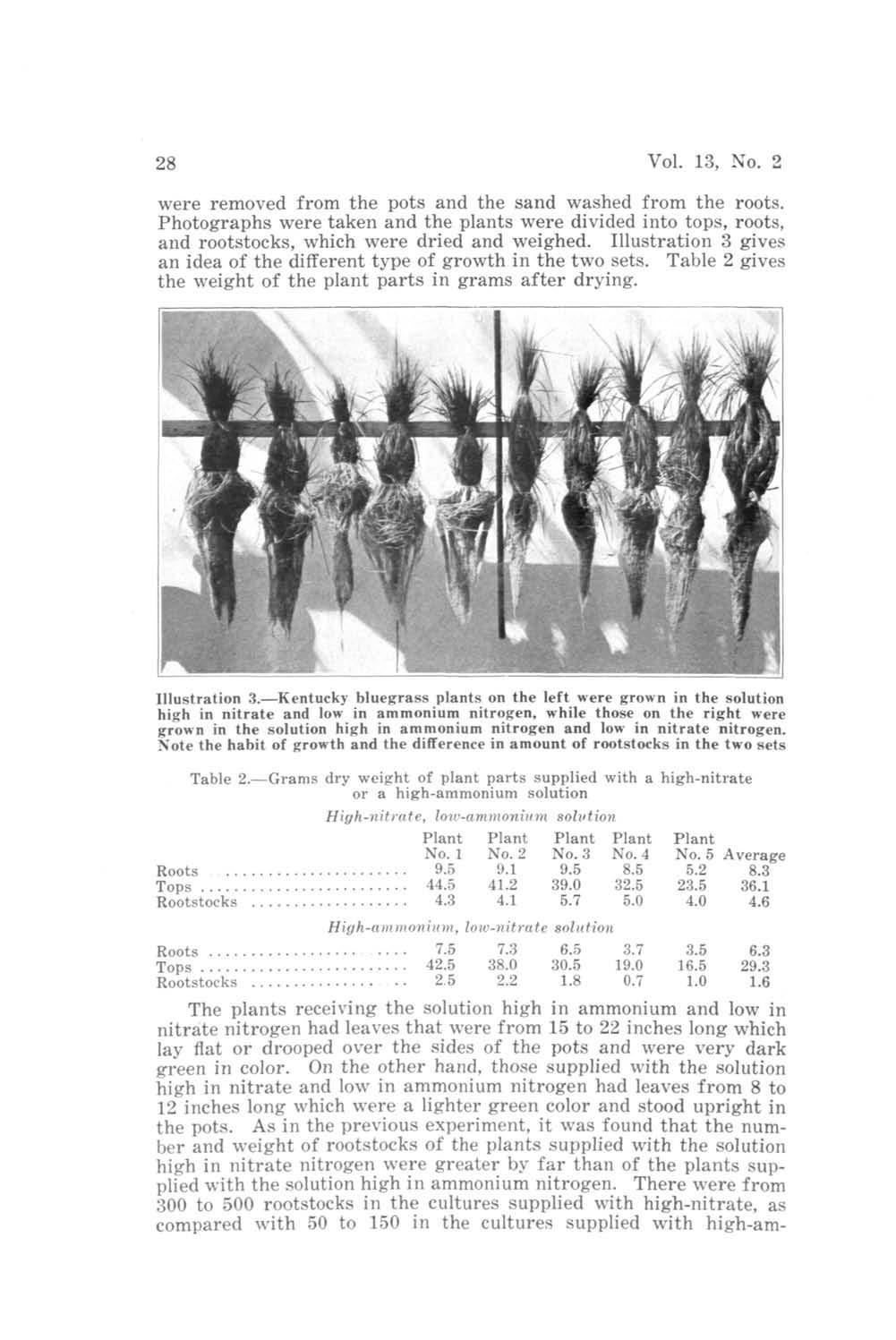 28 Vol. 13, No. 2 were removed from the pots and the sand washed from the roots. Photographs were taken and the plants were divided into tops, roots, and rootstocks, which were dried and weighed.